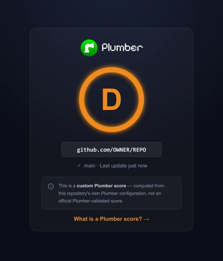 A project's official Plumber Score page, showing a D grade, the scanned repository, branch, and last update time